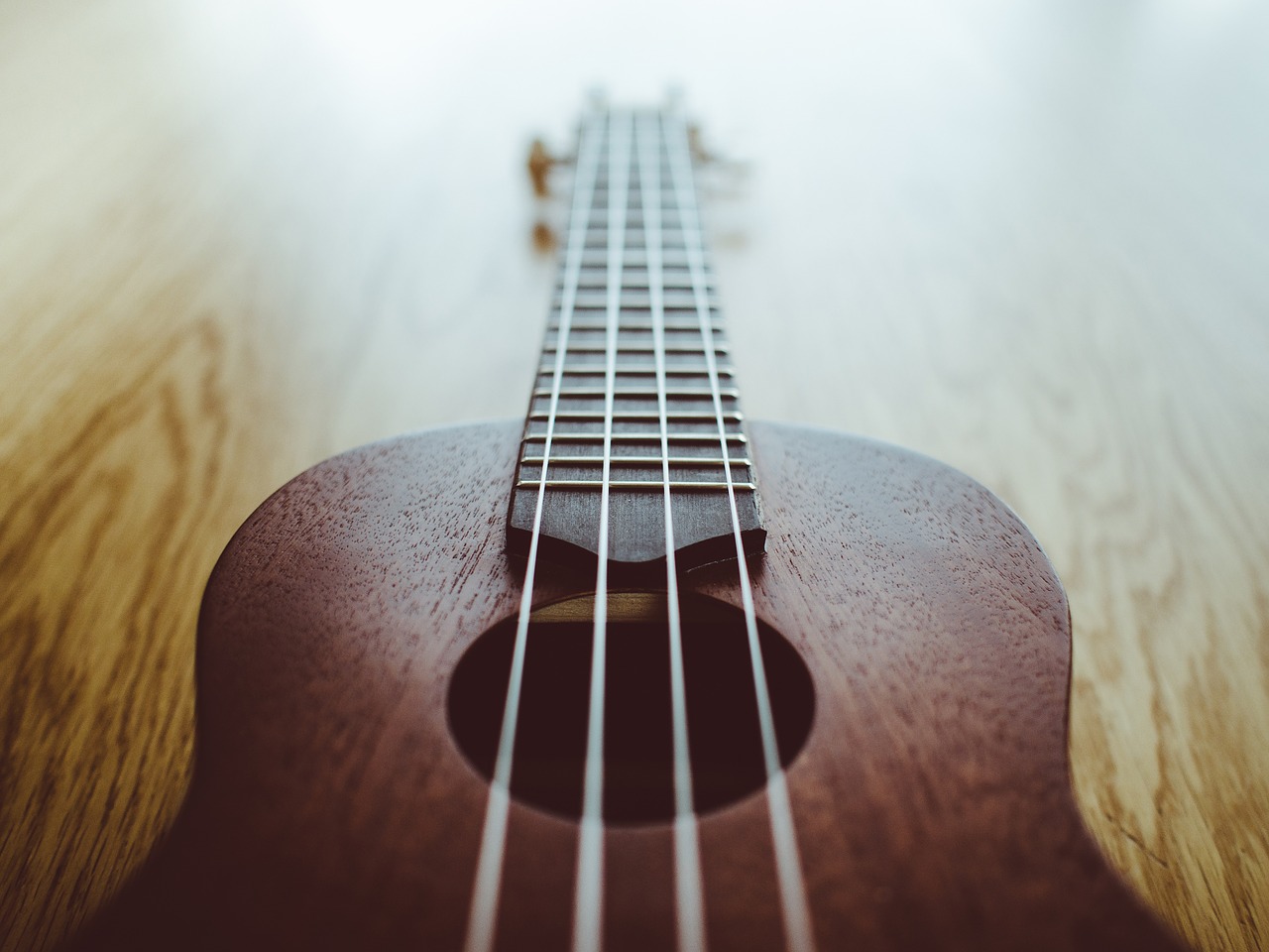 ukulele ukulele