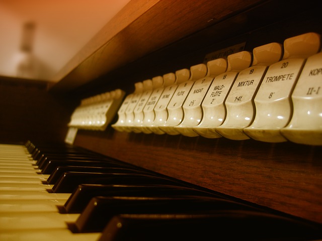 E-Orgel E-Orgel