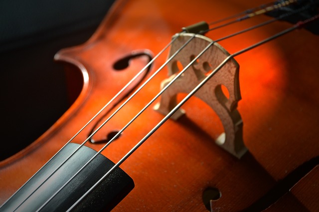 cello cello