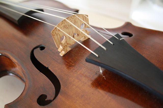 viola viola