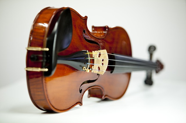 violine violine